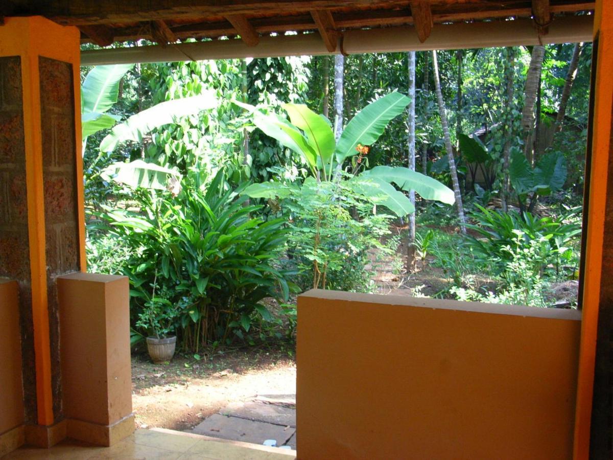 Dudhsagar Plantation Villa Cormonem Kültér fotó