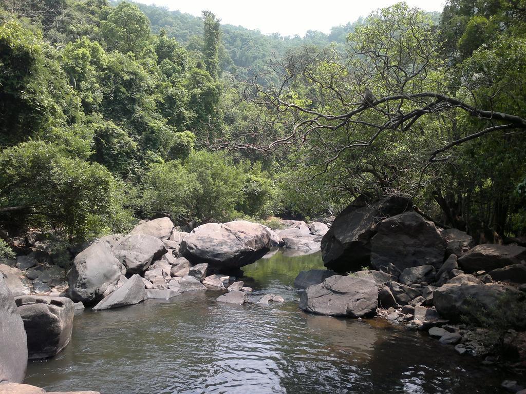 Dudhsagar Plantation Villa Cormonem Kültér fotó