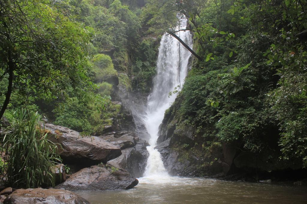 Dudhsagar Plantation Villa Cormonem Kültér fotó