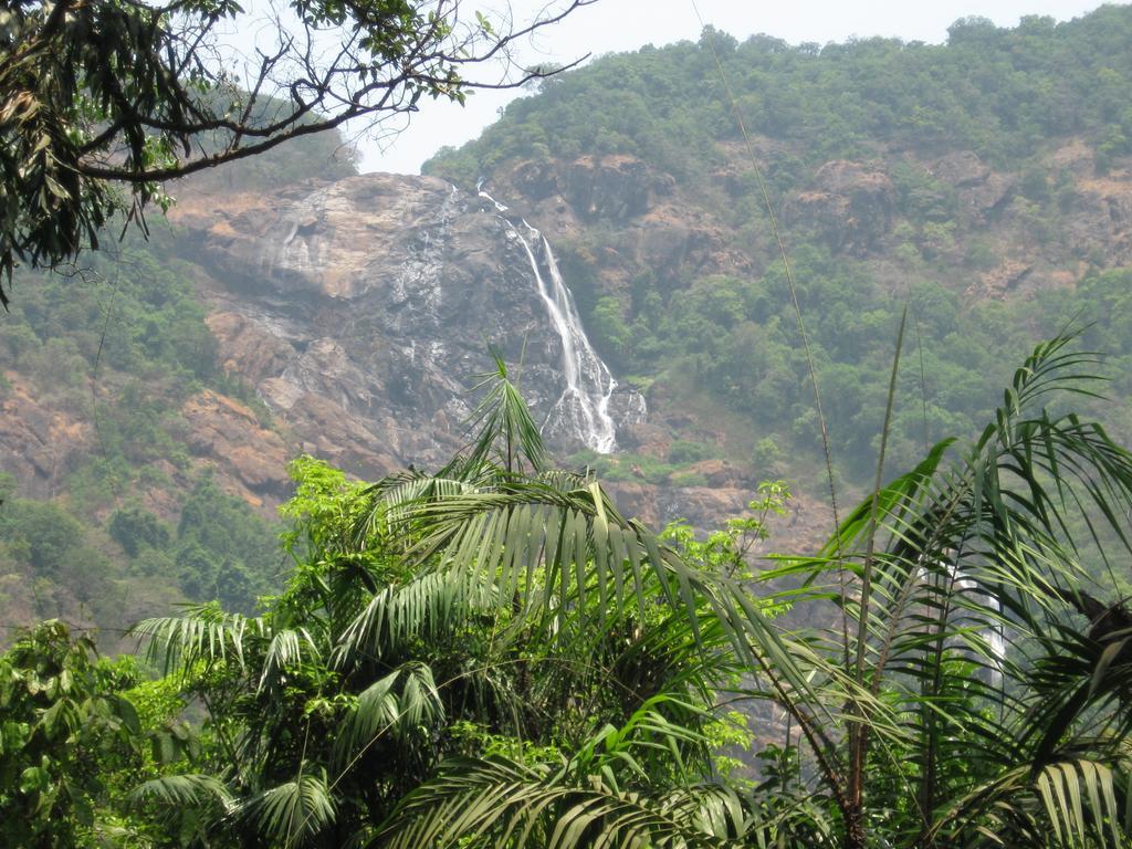 Dudhsagar Plantation Villa Cormonem Kültér fotó
