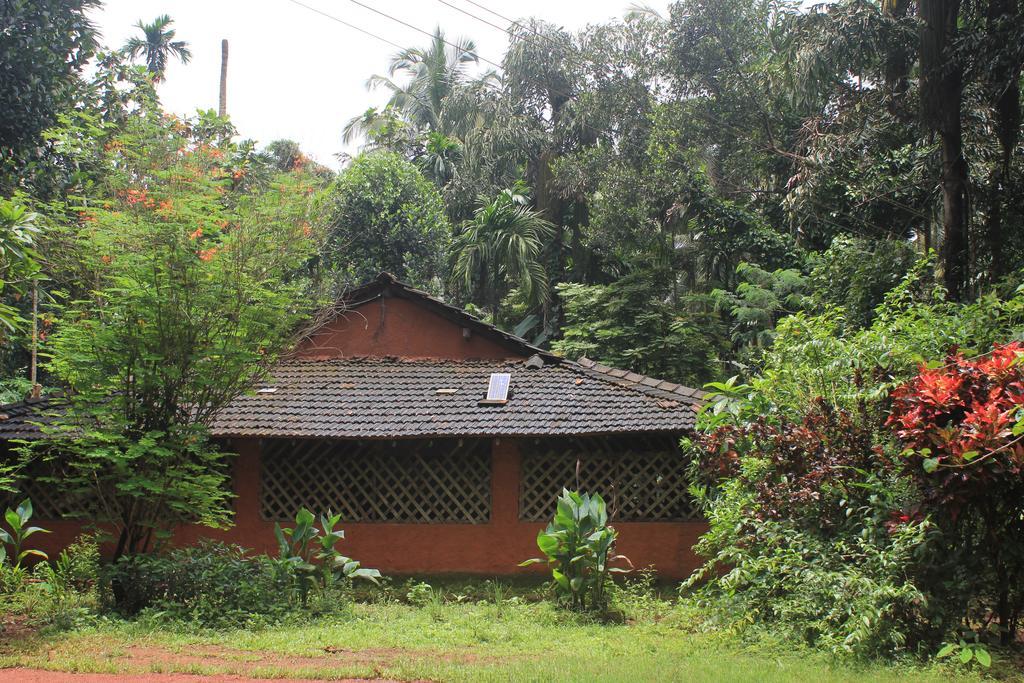 Dudhsagar Plantation Villa Cormonem Kültér fotó