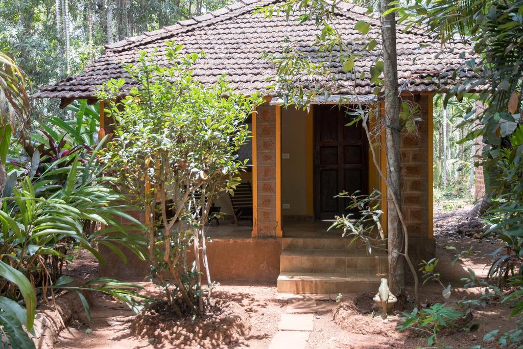 Dudhsagar Plantation Villa Cormonem Kültér fotó