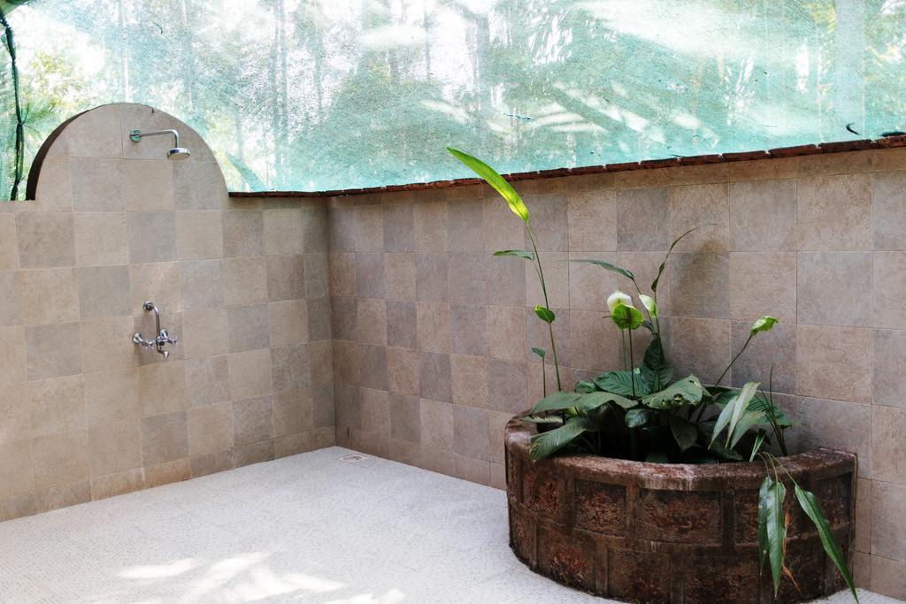 Dudhsagar Plantation Villa Cormonem Kültér fotó