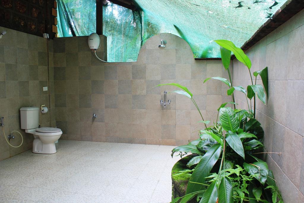 Dudhsagar Plantation Villa Cormonem Kültér fotó