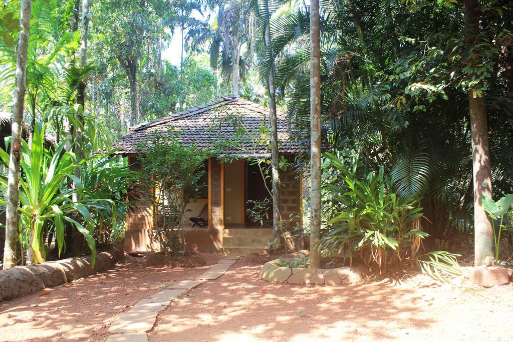 Dudhsagar Plantation Villa Cormonem Kültér fotó