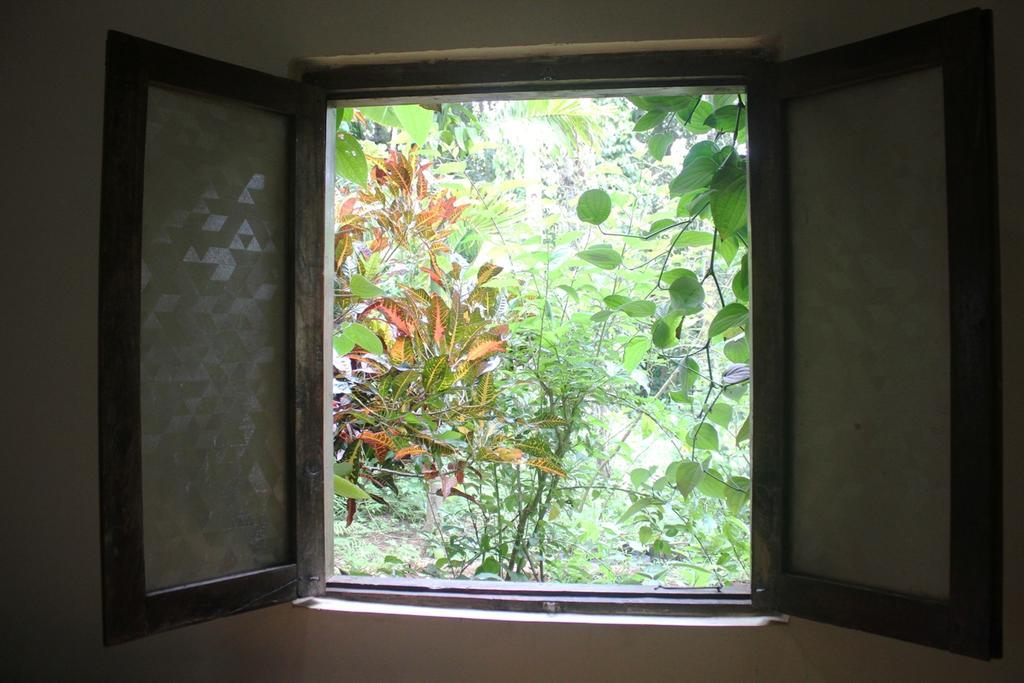 Dudhsagar Plantation Villa Cormonem Kültér fotó