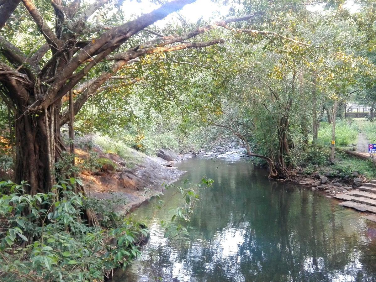 Dudhsagar Plantation Villa Cormonem Kültér fotó