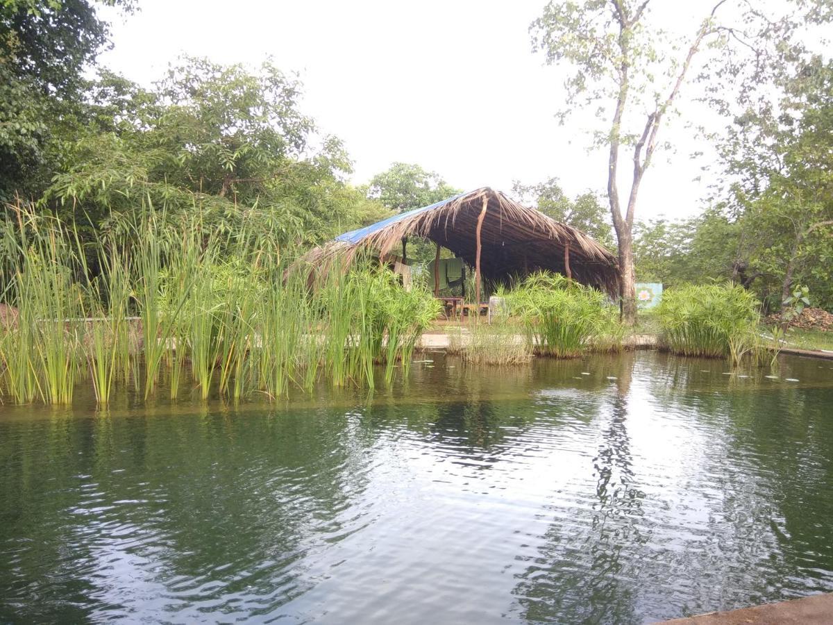 Dudhsagar Plantation Villa Cormonem Kültér fotó